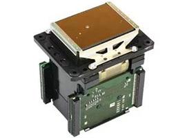 Original Epson DX7 Gold Druckkopf