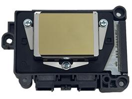 Original Epson DX7 Oily F189010 Druckkopf