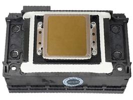 Original Epson DX11 XP600 1080-A1 Druckkopf
