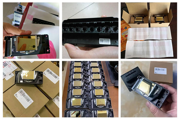 Original DX5 Gold Oily Druckkopf
