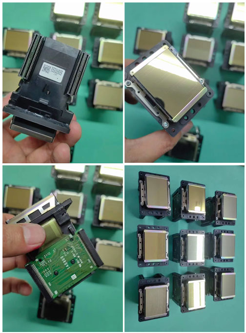Original Epson DX7 Gold Druckkopf