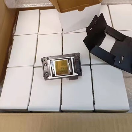 Epson F1080 Druckkopf